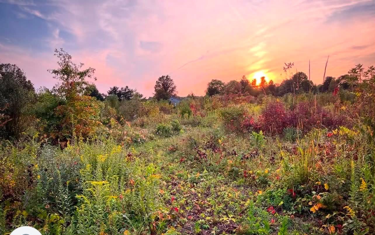 The meadow at sunset with a pink and orange autumn sky
